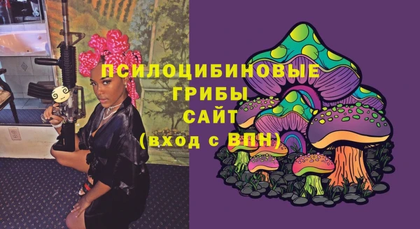 соль ск Алзамай