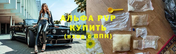 гидра Алексин