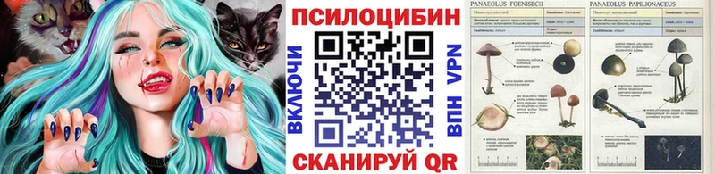 Галлюциногенные грибы Psilocybe  Купить  Кущёвская 
