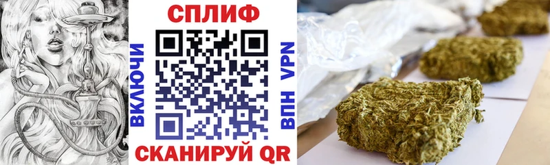 Купить  Кущёвская  Каннабис SATIVA & INDICA 